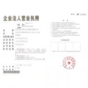 大象-营业执照