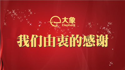 大象电子2018年度发布会视频