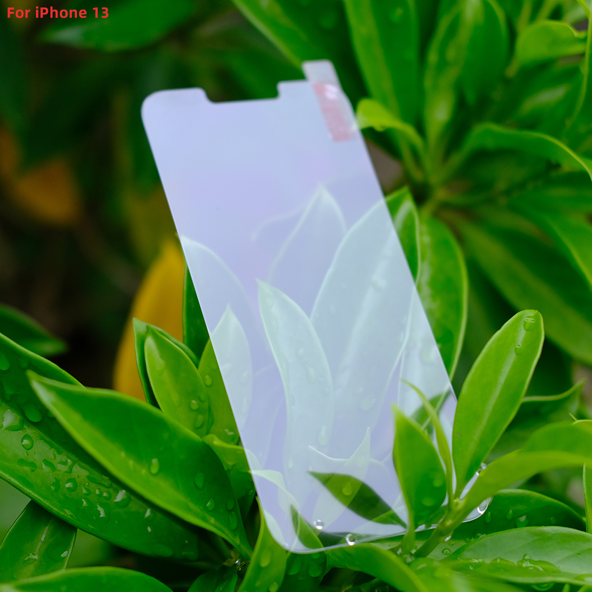 手机保护膜厂
